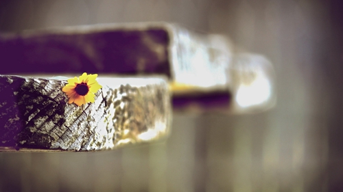 115 深度前場 Kaoma - Lambada (Denis Repin Remix)