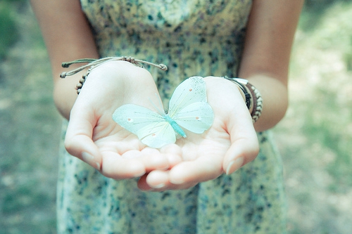 越南鼓 - La La On My Mind