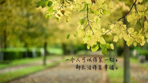 姓氏的情話經典語錄