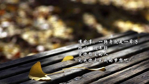 《物理學(xué)土味情話》精選15條